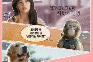 Monkey and Dog Romance cast: Shin Won Ho, Son Ji Hyun, Chae Dong Hyun. Monkey and Dog Romance Release Date: 17 September 2018. Monkey and Dog Romance episodes: 10.