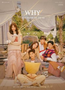WHY cast: Jung Gun Joo, Oh Ah Yun, Hwang In Yeob. WHY Release Date: 10 November 2018. WHY episodes: 10.