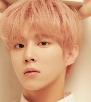 Kim Woo Seok Nationality, Born, Gender, 김우석, Kim Woo Seok, also recognised formerly through his degree name Wooshin, is a vocalist, visible.