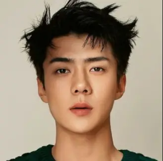 Oh Se Hun Nationality, Born, Gender, Se Hun is a South Korean singer, actor, and a member of the boy band EXO.