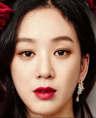 Jung Ryeo Won Nationality, Born, 정려원, Age, Gender, Jung Ryeo Won is a Korean-Australian actress below H& Entertainment.