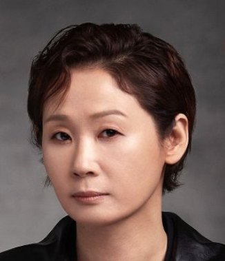 Kim Sun Young Plot, Nationality, Born, Age, 김선영, Gender, Kim Sun Young is a South Korean actress and theater actress.