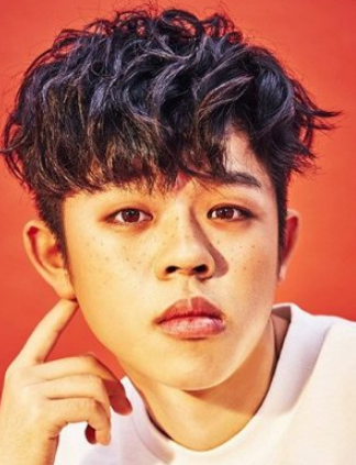 Gree Nationality, Gender, Age, Born, Biography, 그리, Plot, Kim Dong Hyeon, higher acknowledged through his stage call Gree, is a South Korean rapper.