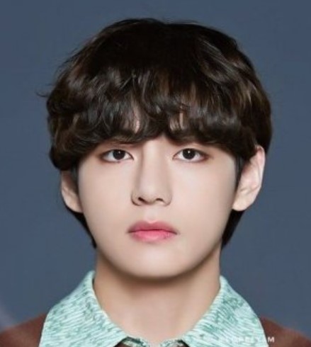 V Nationality, Gender, Age, Born, 뷔, Biography, Plot, Kim Tae Hyung, better realized by his stage name V, is a South Korean vocalist lyricist.