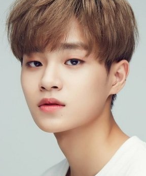 Lee Dae Hwi Nationality, Gender, Biography, Age, Born, 이대휘, Plot, Lee Dae Hwi is a South Korean vocalist lyricist under Spic and span Music and individual from the Kid Gathering AB6IX.