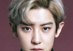 Park Chan Yeol Nationality, Age, Born, Gender, Bio, Intro, Park Chan Yeol is a South Korean entertainer.