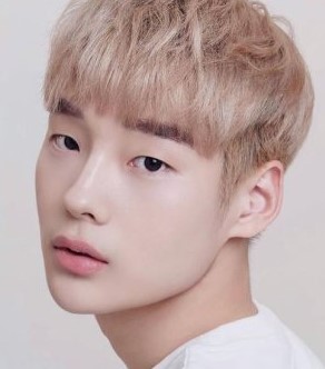 Son Byeong Hoon Nationality, Gender, Age, Born, Biography, Son Byeong Hoon is a South Korean entertainer.